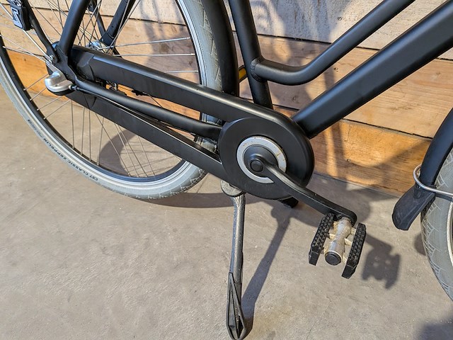 Dames transportfiets, sparta, mojo - afbeelding 10 van  12