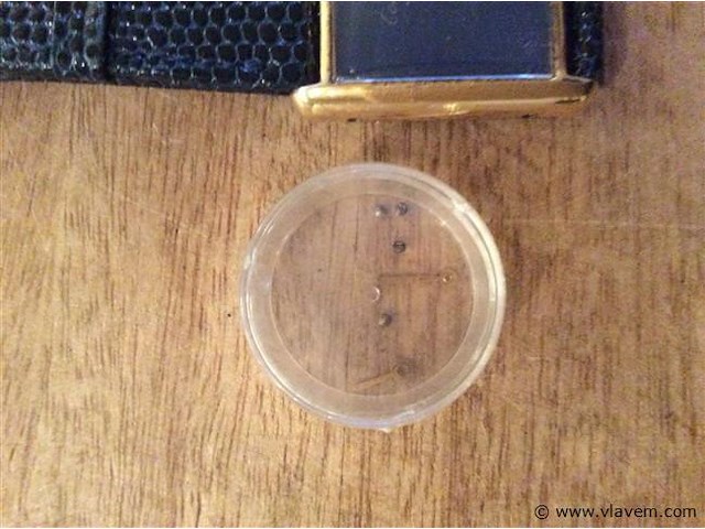 Dames uurwerk cartier - afbeelding 3 van  4