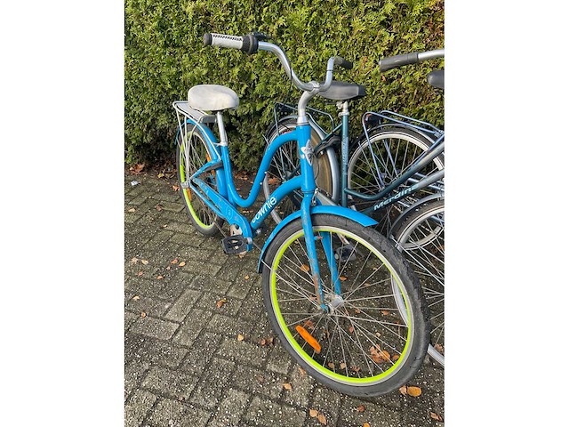 Damesfiets (4x) - afbeelding 2 van  8