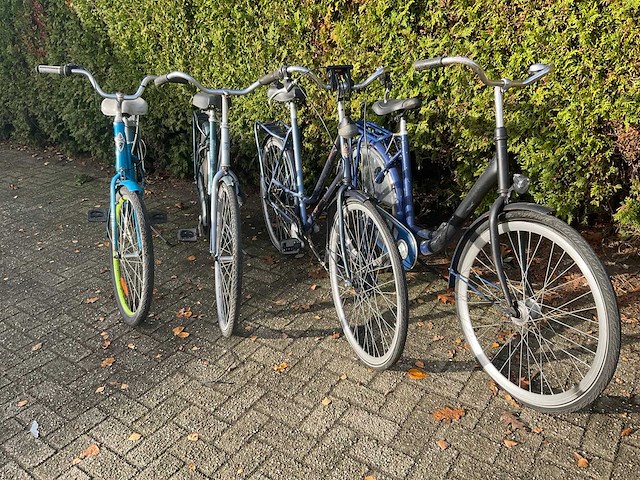 Damesfiets (4x) - afbeelding 8 van  8