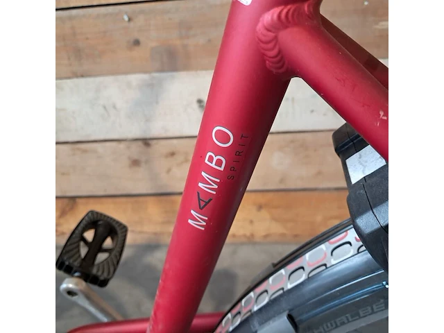 Damesfiets, batavus, mambo spirit, rood - afbeelding 17 van  17