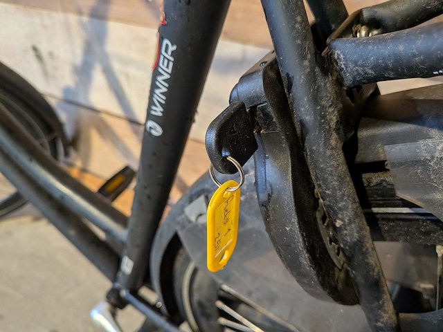 Damesfiets, batavus, winner - afbeelding 4 van  14