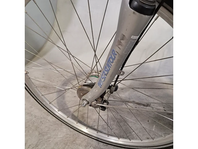 Damesfiets, dhs - afbeelding 8 van  18