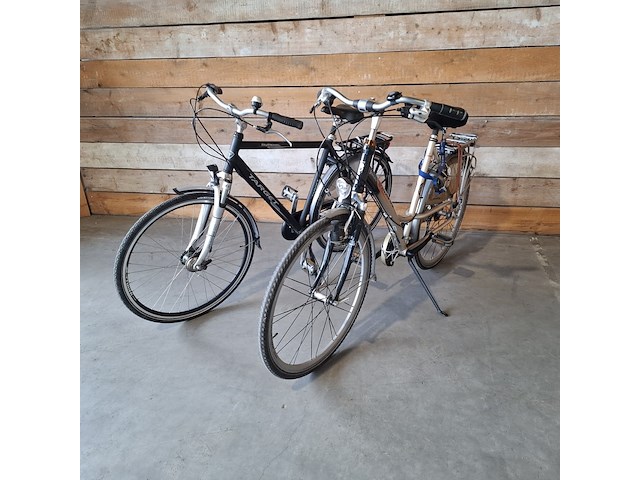 Damesfiets en herenfiets, batavus / target skyline, toerfiets, bruin / zwart, 2005 - afbeelding 1 van  7