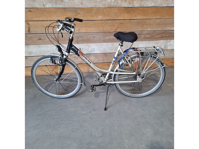 Damesfiets en herenfiets, batavus / target skyline, toerfiets, bruin / zwart, 2005 - afbeelding 5 van  7