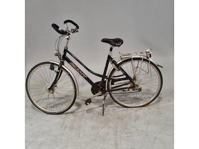 Damesfiets, giant, freerider - afbeelding 5 van  15
