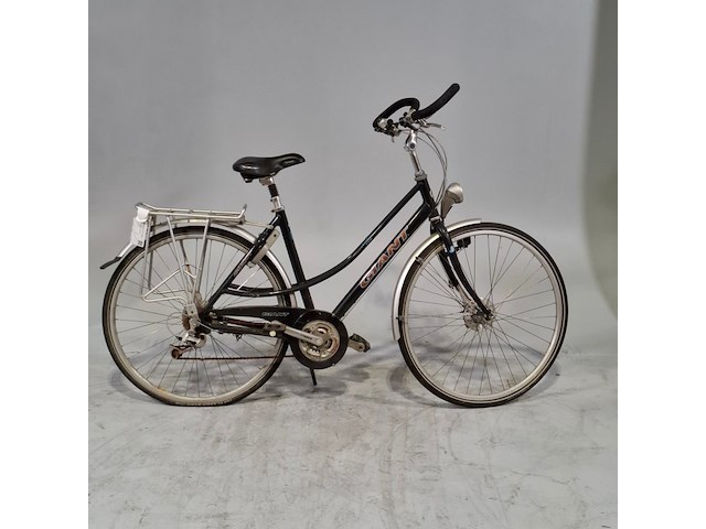 Damesfiets, giant, freerider - afbeelding 1 van  15