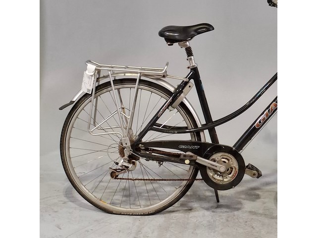 Damesfiets, giant, freerider - afbeelding 8 van  15