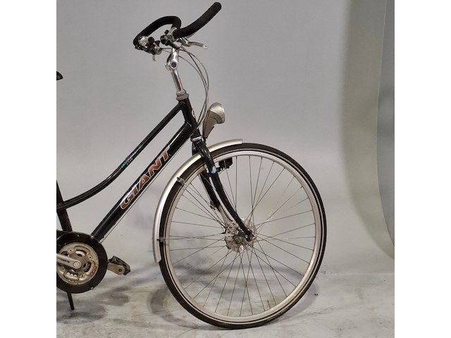 Damesfiets, giant, freerider - afbeelding 9 van  15