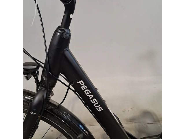 Damesfiets, pegasus, lucca - afbeelding 5 van  11