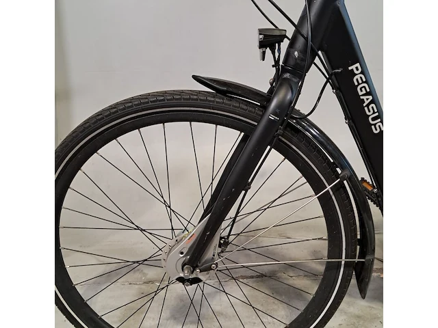 Damesfiets, pegasus, lucca - afbeelding 6 van  11