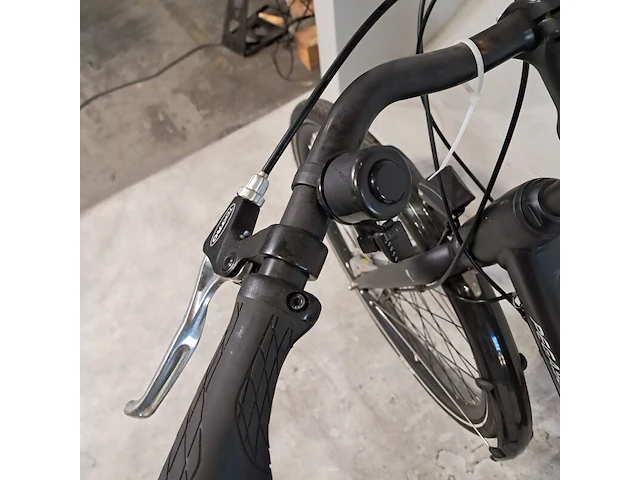 Damesfiets, pegasus, lucca - afbeelding 9 van  11