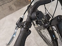 Damesfiets, pegasus, lucca - afbeelding 9 van  11