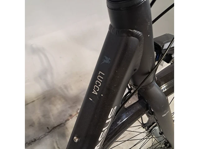 Damesfiets, pegasus, lucca - afbeelding 11 van  11