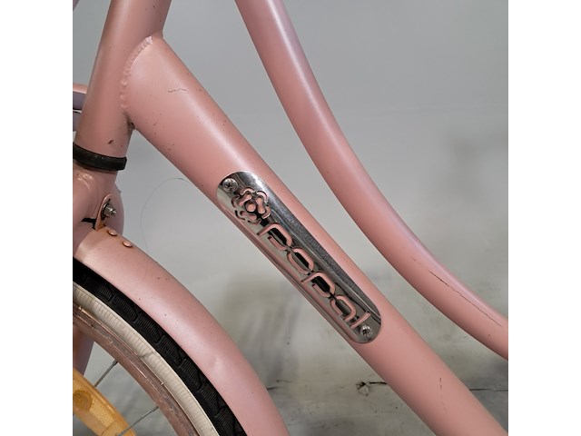Damesfiets, popal - afbeelding 5 van  11