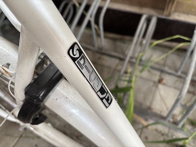Damesfiets, sparta, pickup - afbeelding 3 van  7
