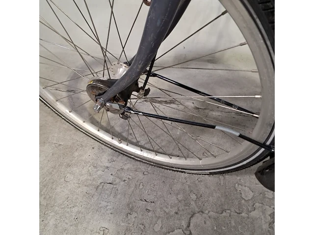 Damesfiets, union, nyala - afbeelding 9 van  19