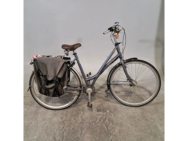 Damesfiets, union, nyala - afbeelding 1 van  19