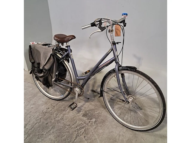 Damesfiets, union, nyala - afbeelding 13 van  19