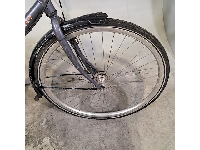 Damesfiets, union, nyala - afbeelding 14 van  19