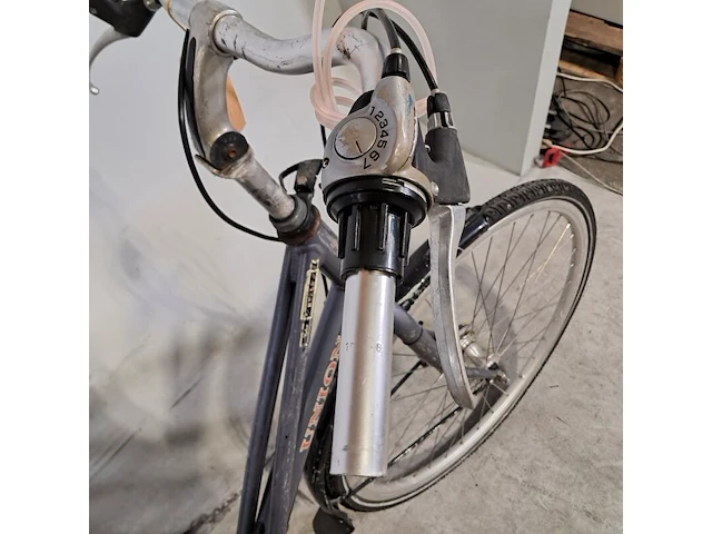 Damesfiets, union, nyala - afbeelding 19 van  19