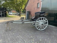 Dameskar. - afbeelding 7 van  14