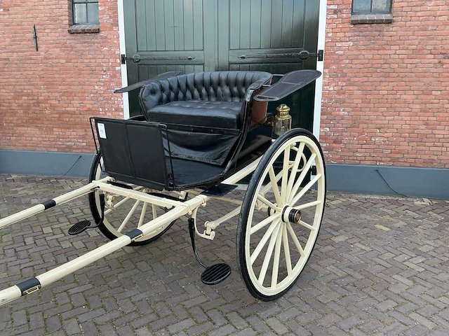 Dameskar - afbeelding 5 van  12