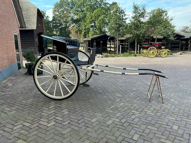Dameskar - afbeelding 6 van  12