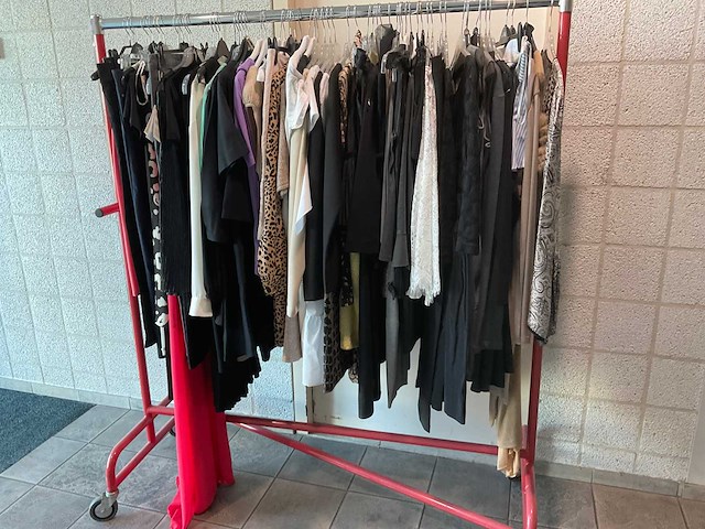 Dameskleding (60x) - afbeelding 1 van  9