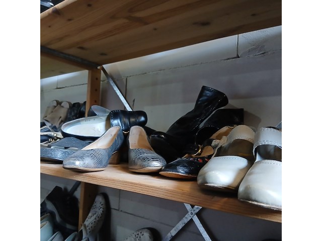 Damesschoenen allerlei soorten/kleuren - afbeelding 11 van  18