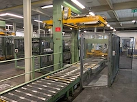 Danconveyor palletiseerinstallatie