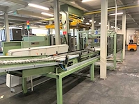 Danconveyor palletiseerinstallatie - afbeelding 15 van  20