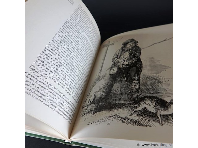 Daniel o'connell - afbeelding 3 van  5