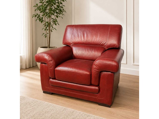 Daniela leren fauteuil - afbeelding 1 van  6