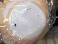 Dansende en zingende hond 1x ex batt - afbeelding 7 van  7