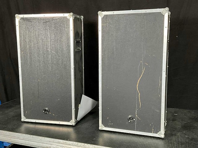 Dap pa-speaker (2x) - afbeelding 4 van  6