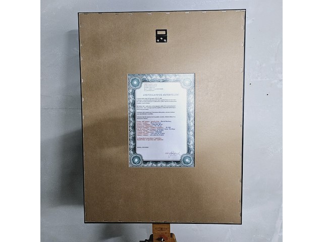 David hockney - lithograaf - ''deux'' - afbeelding 6 van  7