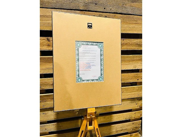 David hockney lithograaf - gesigneerd met certificaat - afbeelding 5 van  6