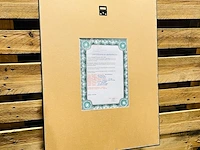 David hockney lithograaf - gesigneerd met certificaat - afbeelding 5 van  6