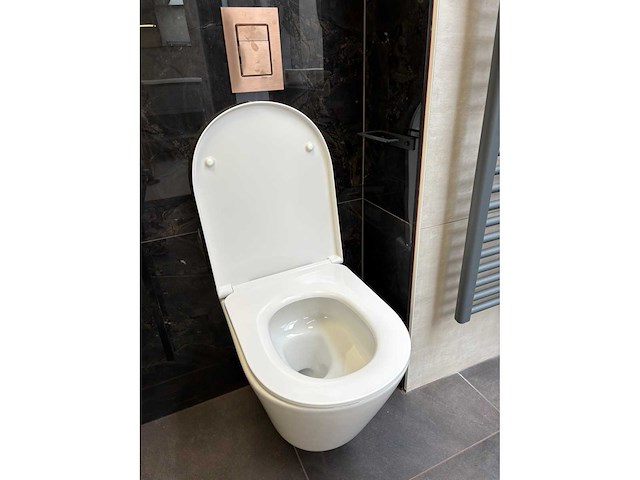 Davigo showroom toilet - afbeelding 1 van  2