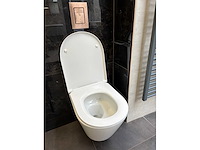 Davigo showroom toilet