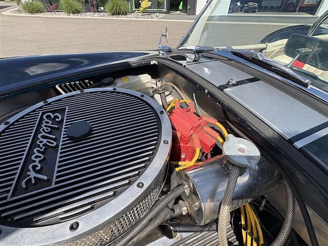 Dax cobra - afbeelding 19 van  35