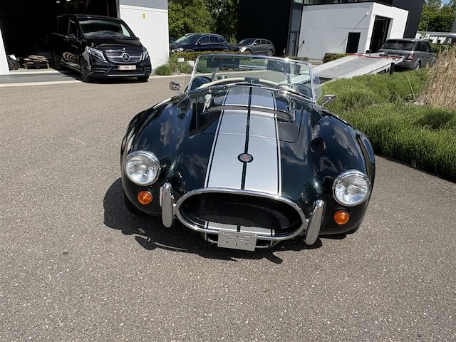 Dax cobra - afbeelding 12 van  35