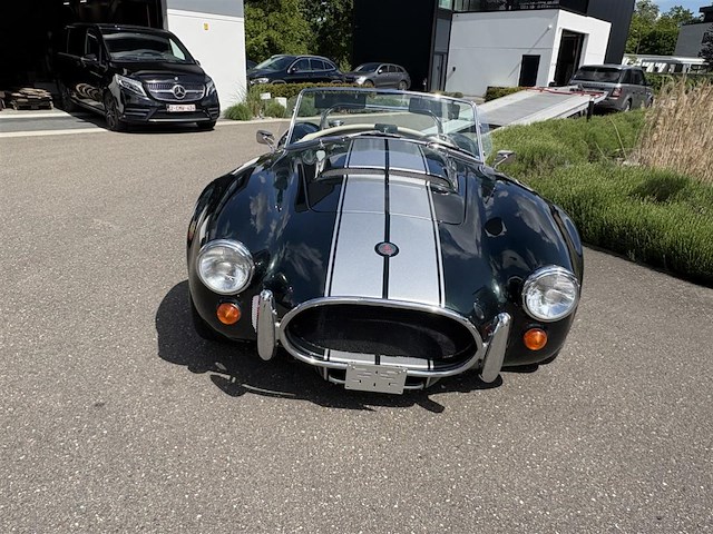 Dax cobra - afbeelding 23 van  35