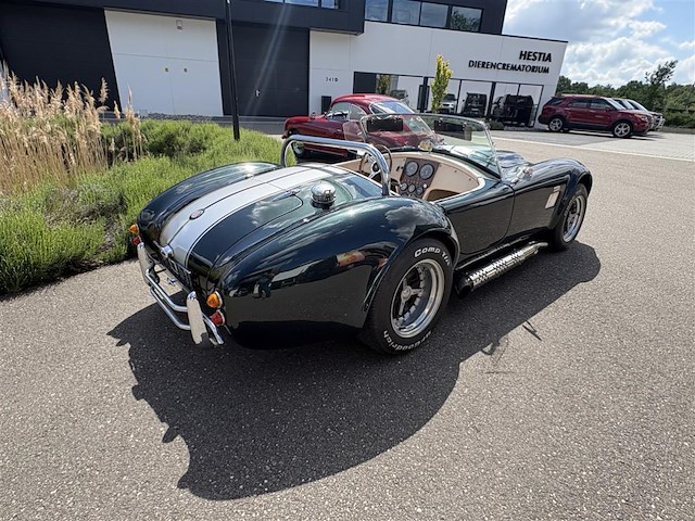 Dax cobra - afbeelding 32 van  35