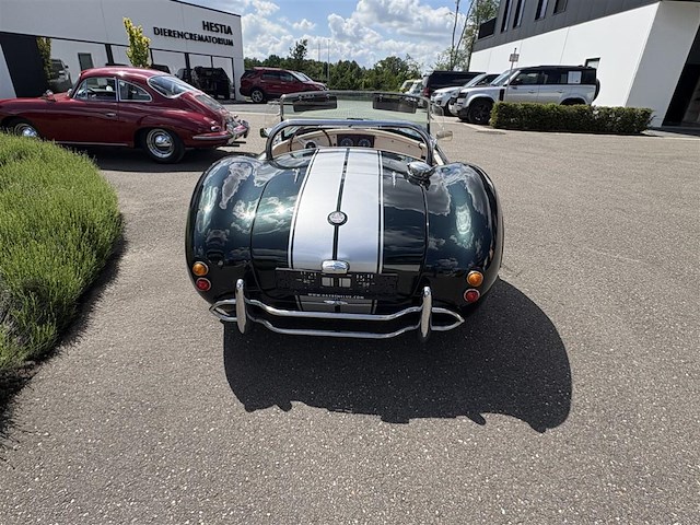 Dax cobra - afbeelding 33 van  35