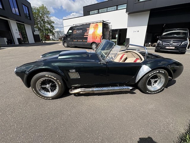 Dax cobra - afbeelding 35 van  35