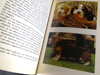 De bassethound - afbeelding 4 van  5