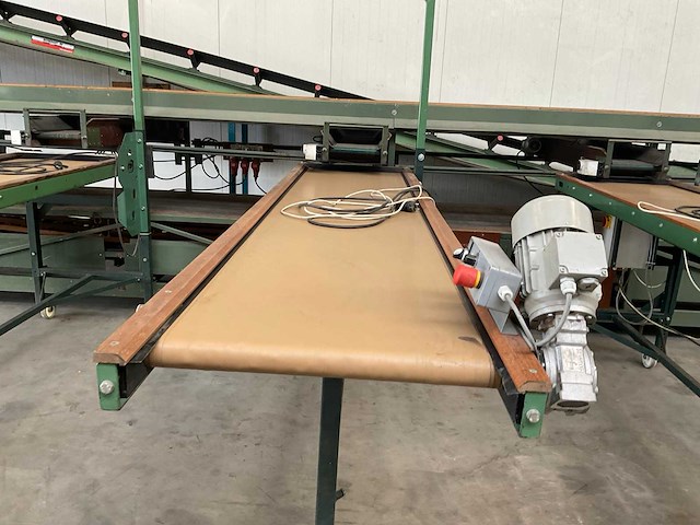 De bruijn leesband (c) - afbeelding 4 van  7