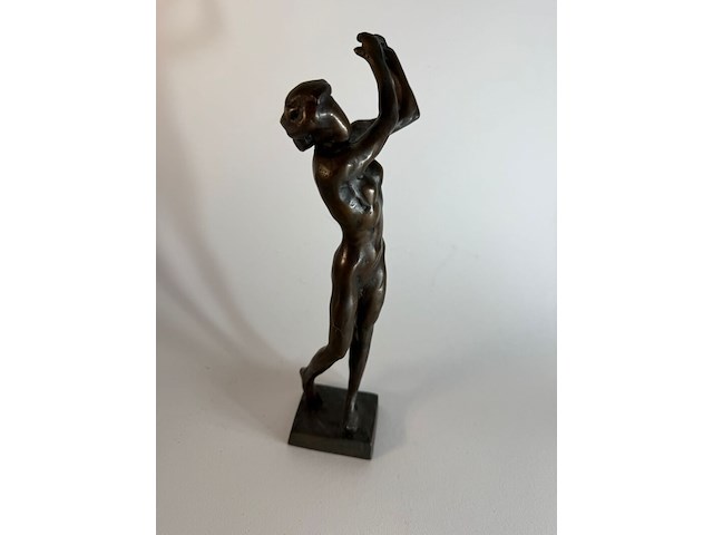 De golfer - swing kees verkade - afbeelding 2 van  6